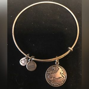 Alex and Ani Zodiac sign Capricorn bracelet